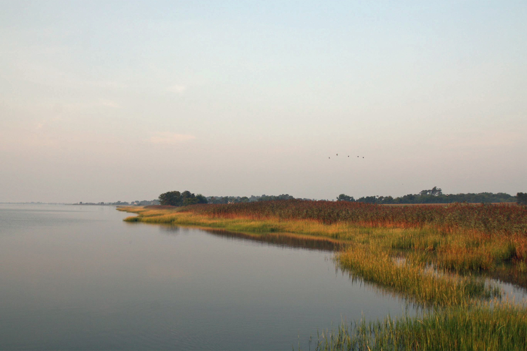 Gallery Eagle's Sound Property Owners Association